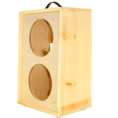2x10 guitar extension cabinet